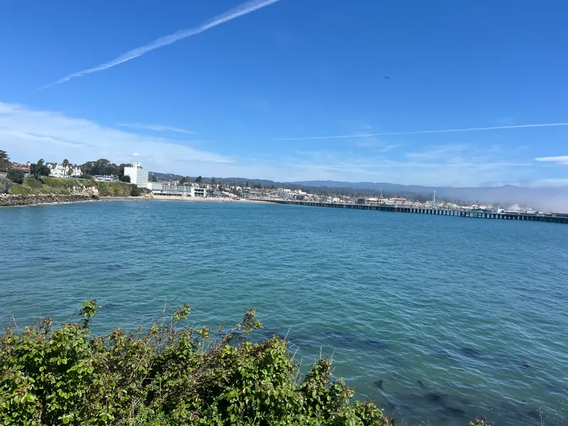A bay and a long wharf